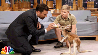 Robert Irwin, Son of the Crocodile Hunter, Is As Delightful As His Dad Was